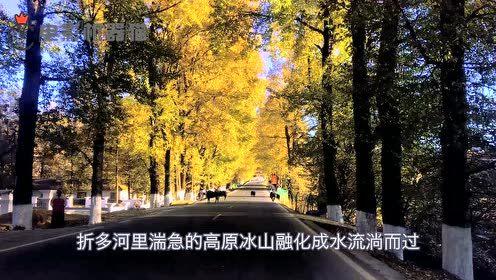 娱乐吃瓜君的原创