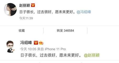 娱乐吃瓜公众号,揭秘明星幕后故事，带你领略明星圈层风云