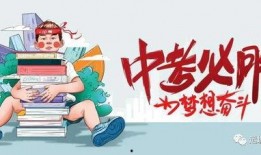 金婧最新爆料消息新闻视频,揭秘娱乐圈惊人内幕！