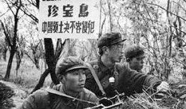 爆料珍宝岛战役视频全集,揭秘历史瞬间，还原战场真实影像