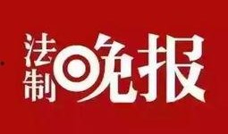 小鱼新闻爆料,揭秘事件背后惊人真相