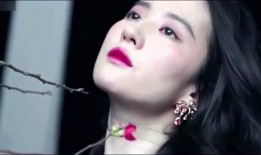 李现刘亦菲爆料视频,幕后故事引热议
