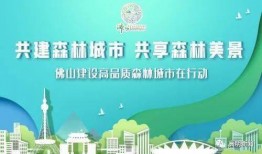 佛山高明新闻爆料事件,揭秘背后真相