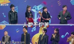 王牌在线观看完整版,揭秘网络直播界的巅峰对决！