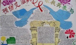 新闻爆料图文并茂手抄报,揭秘新闻爆料背后的真相