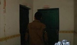 女子爆料杀柯基视频,残忍行径引发社会关注