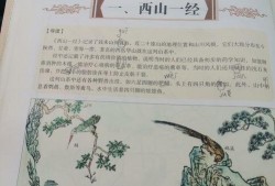 新闻爆料图文并茂手抄报,揭秘新闻爆料背后的真相