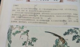 新闻爆料图文并茂手抄报,揭秘新闻爆料背后的真相