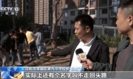 央视新闻天天爆料,聚焦社会热点，揭示真相动态