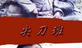 尖刀班在线观看,揭秘特种部队的生死较量