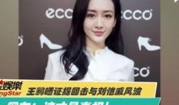 刘晶爆料内容介绍视频下载