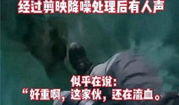 沿河爆料身边事件视频播放,身边事件视频播放引发热议
