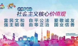 佛山高明新闻爆料事件,揭秘背后真相