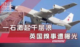 美国泄密文件爆料视频,揭秘神秘视频背后的惊人真相