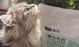 蓝氏猫粮爆料视频播放,揭秘猫粮品质背后的真相