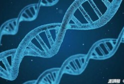 美国基因公司爆料新闻视频,揭秘美国基因研究黑幕