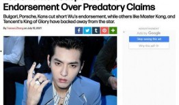 吴亦凡最新爆料视频,独家爆料背后的故事与真相