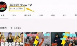 视频收入爆料怎么做,揭秘网红经济背后的真相