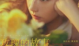 李现刘亦菲爆料视频,幕后故事引热议