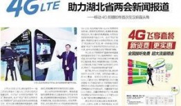 湖北一工厂爆料新闻报道,揭露企业生产黑幕